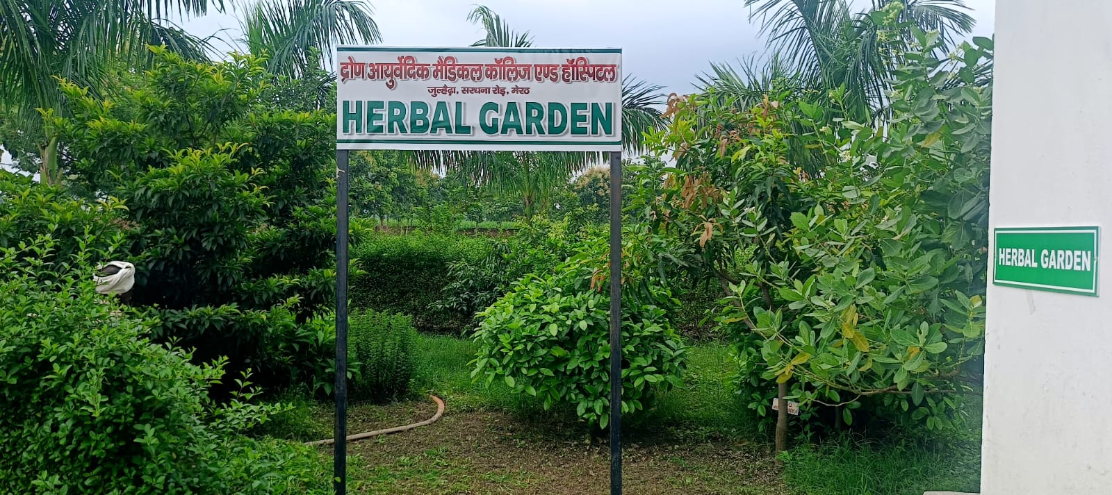 Herbal Garden at Dron Ayurvedic
